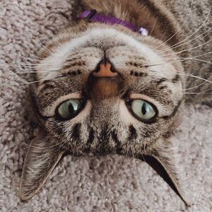 Meet your Posher, Astrid